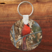 赤(鳥)ショウジョウコウカンチョウ キーホルダー (正面)