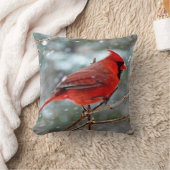 赤(鳥)ショウジョウコウカンチョウ クッション (ブランケット)