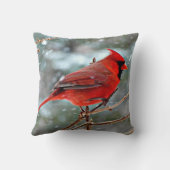 赤(鳥)ショウジョウコウカンチョウ クッション (裏面)