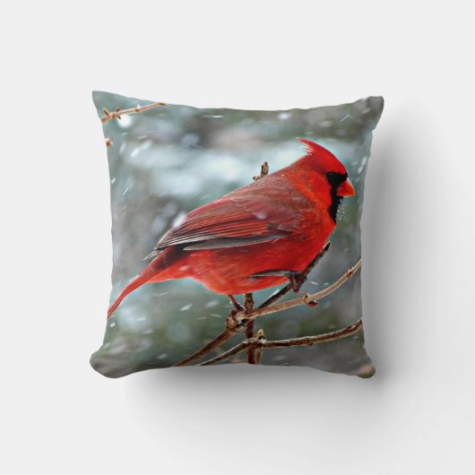 赤(鳥)ショウジョウコウカンチョウ クッション (正面)