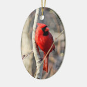 赤（鳥）ショウジョウコウカンチョウ セラミックオーナメント (左)