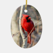 赤（鳥）ショウジョウコウカンチョウ セラミックオーナメント (正面)