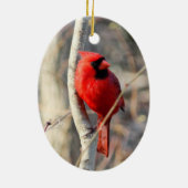 赤（鳥）ショウジョウコウカンチョウ セラミックオーナメント (裏面)