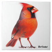 赤(鳥)ショウジョウコウカンチョウ タイル (正面)