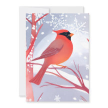 赤（鳥）ショウジョウコウカンチョウ | 美しい水絵を描色