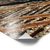 赤・黄の蒸気機関車鉄道芸術 フォトプリント            (角)