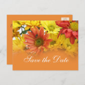 赤、黄色、オレンジ色のデイジーの花が日付を保存 案内ポストカード (正面/裏面)