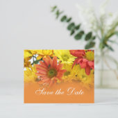 赤、黄色、オレンジ色のデイジーの花が日付を保存 案内ポストカード (スタンド正面)