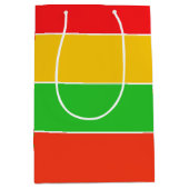 赤、黄、およびライムグリーンのストライプ ミディアムペーパーバッグ (正面)