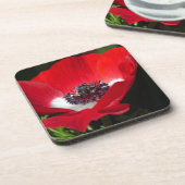 赤Anemone.JPG コースター (左側)
