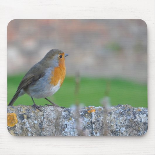赤breasted Flycatcher マウスパッド (正面)