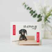 赤Dachshund Dog in Boxはがき ポストカード (スタンド正面)