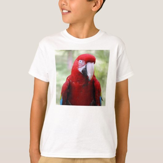 赤macaw10x10 tシャツ (正面)