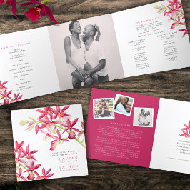 赤Phaiocalanthe宝石の蘭の水結婚色の 三つ折りプログラム