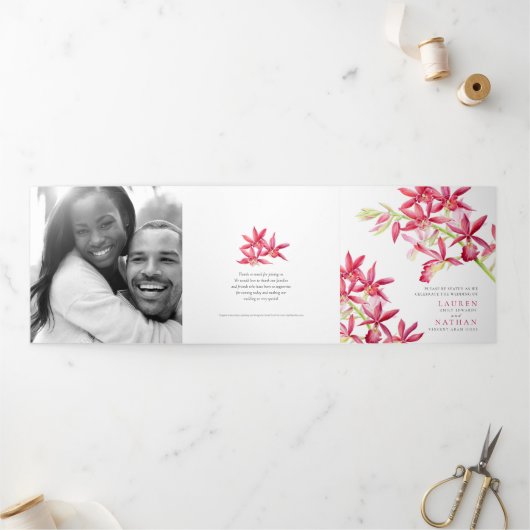 赤Phaiocalanthe宝石の蘭の水結婚色の 三つ折りプログラム (外部)