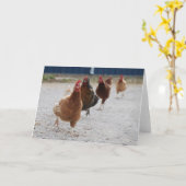 走のヘンズカード カード (黄色い花)