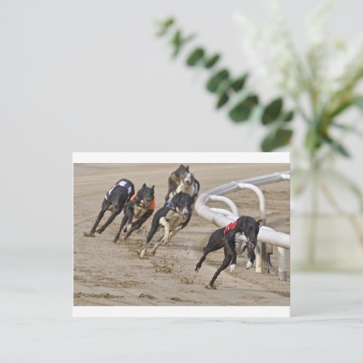 走の列に ポストカード (スタンド正面)