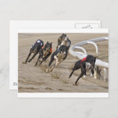 走の列に ポストカード (正面/裏面)