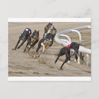 走の列に ポストカード