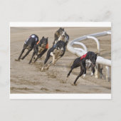 走の列に ポストカード (正面)