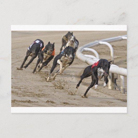 走の列に ポストカード (正面)