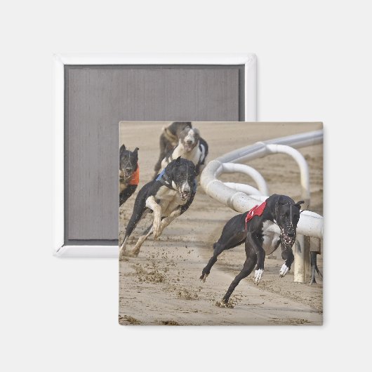 走の列に マグネット (正面/裏面)