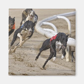 走の列に マグネット (正面)