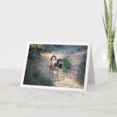 走る犬とジャンピング犬 カード (正面)