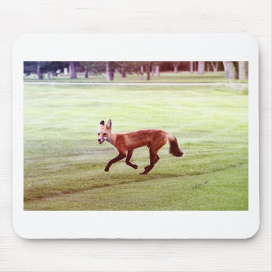 走る赤い狐の写真 マウスパッド (正面)