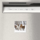 走る馬の冬の風景 マグネット (インサイチュ (食洗機))