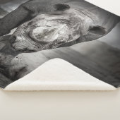 走サイ:野生動物ポートレート。 シェルパブランケット (3/4)