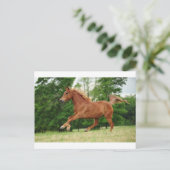 走ベビー走 ポストカード (スタンド正面)