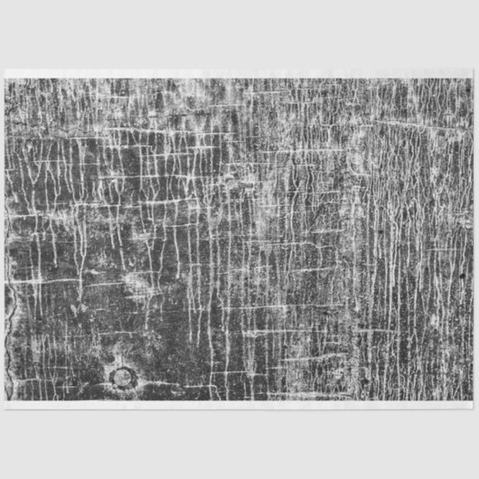 走壁 薄葉紙 (正面)