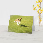 走走Gueting Card カード (黄色い花)