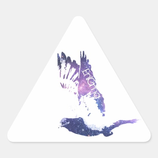 走通り 三角形シール (正面)