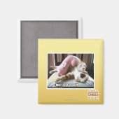 走!自救身だ！ マグネット (正面/裏面)