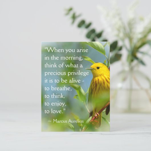 『起きたときマルクス・アウレリウス・インスピレーション引用文P』 ポストカード (スタンド正面)