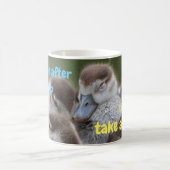 起きてどれくらいで昼寝でいい？ モーフィングマグカップ (中央)