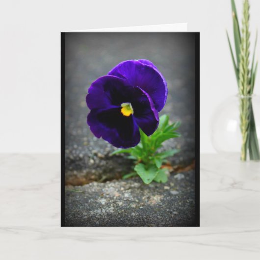 起与えきるな! カード (正面)