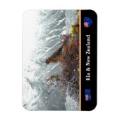 起亜のオウムと有名な鳥、トレッキング/ニュージーランド マグネット (縦)