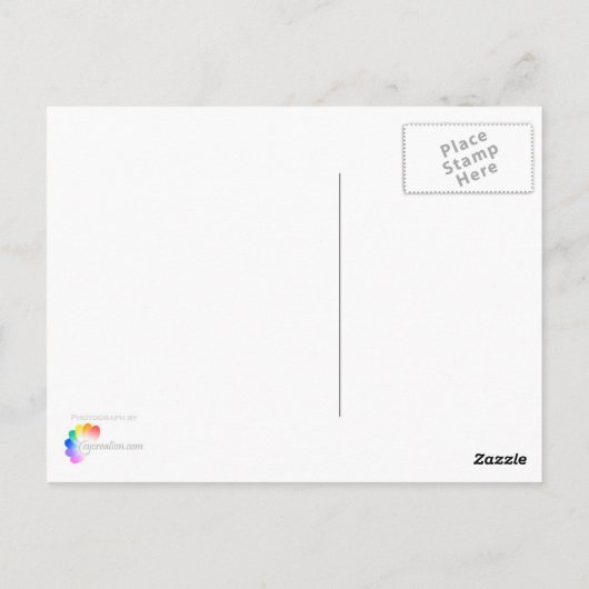 起伏 ポストカード (裏面)