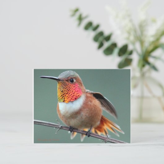 起動の準備完了 ポストカード (スタンド正面)