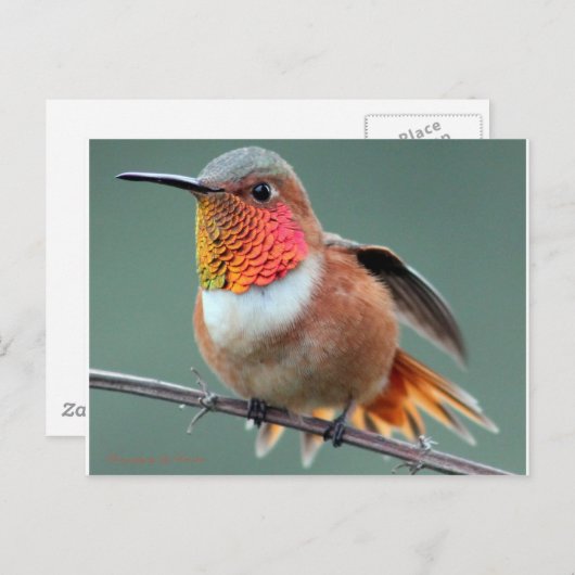 起動の準備完了 ポストカード (正面/裏面)