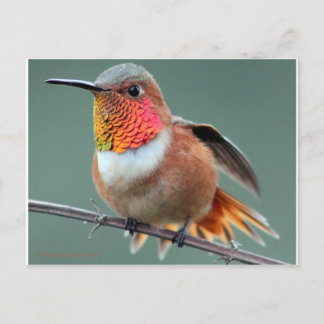 起動の準備完了 ポストカード