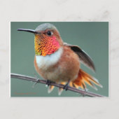 起動の準備完了 ポストカード (正面)