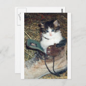 起動時のネコ ポストカード (正面/裏面)