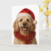 超かわいいクリーム色のコッカプーのクリスマスカード カード (黄色い花)