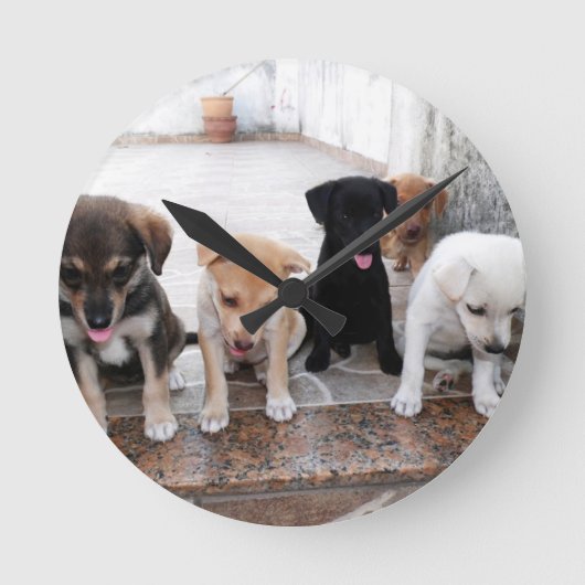 超かわいい子犬の写真 ラウンド壁時計 (正面)