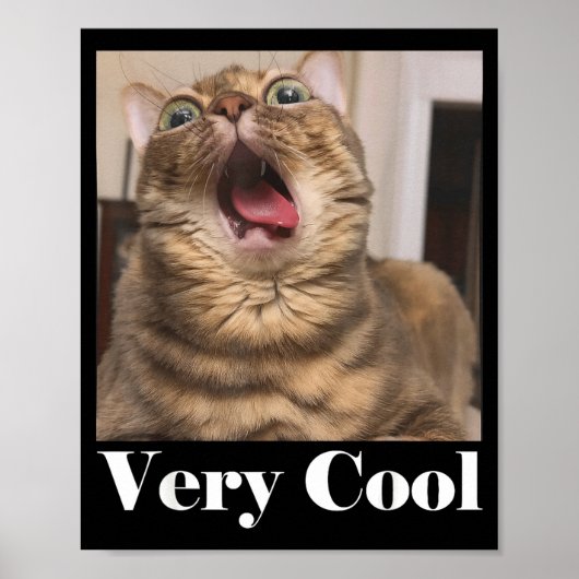 超かわいい猫の面白いミーム グラフィック ポスター (正面)