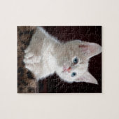 超かわいい白い子猫 ジグソーパズル (横)